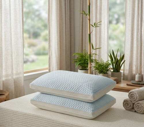 PureAir Pillows (Pack of 2)